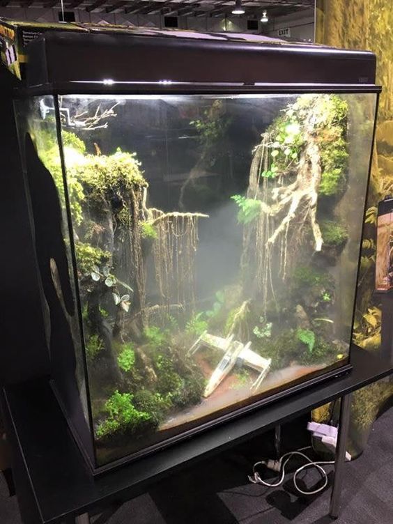 Star Wars Interior Design X-Wing Dagobah System Terrarium